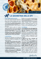 LA GEOMETRIA DELLE API.pdf